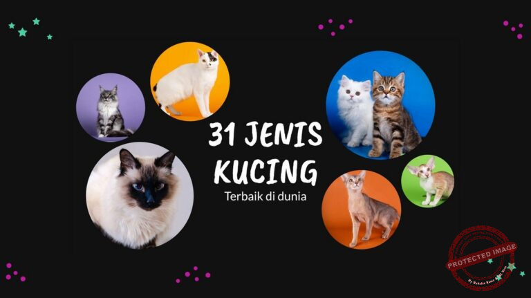 31 Jenis Kucing Terbaik di Dunia: Pilihan Unik untuk Pecinta Kucing